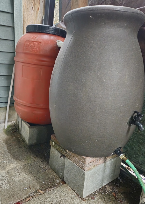Rain Barrel Installation Number 2